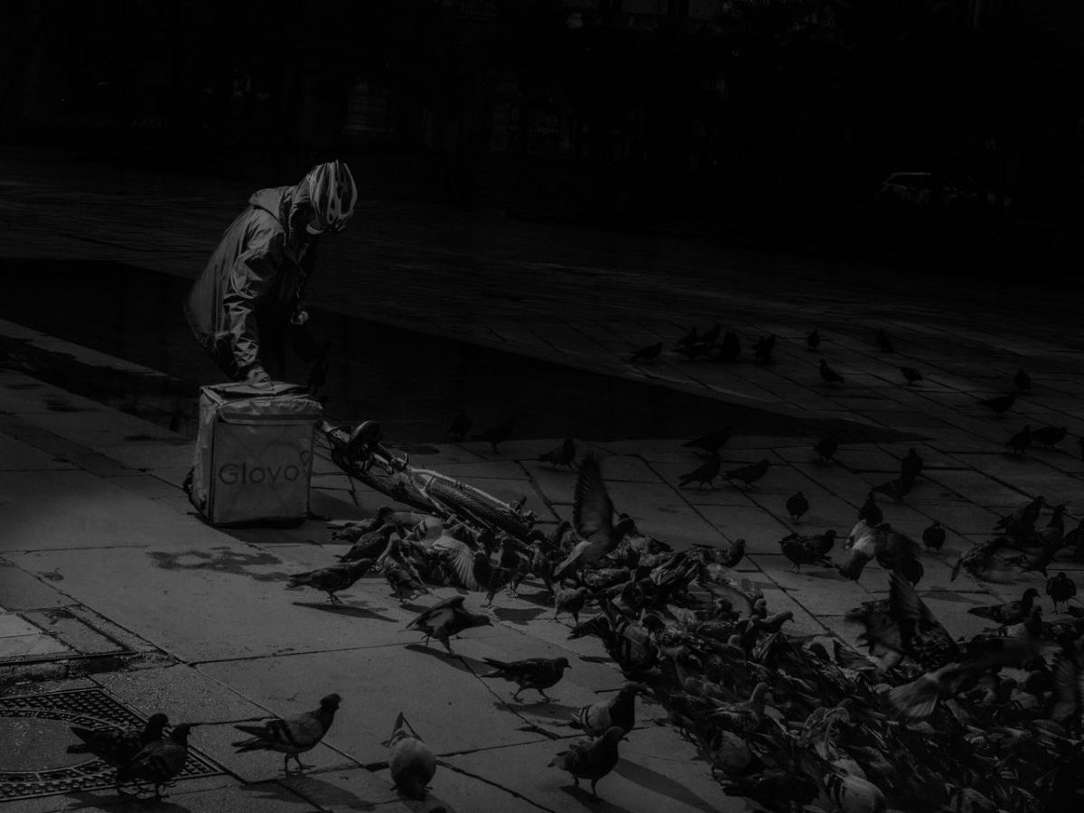 The Covid-19 Visual&nbsp;Project