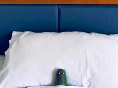 Altre istituzioni culturali dopo il&nbsp;lockdown