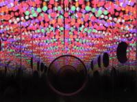 Art Basel Online Viewing&nbsp;Rooms